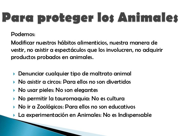 Proteccion Animal