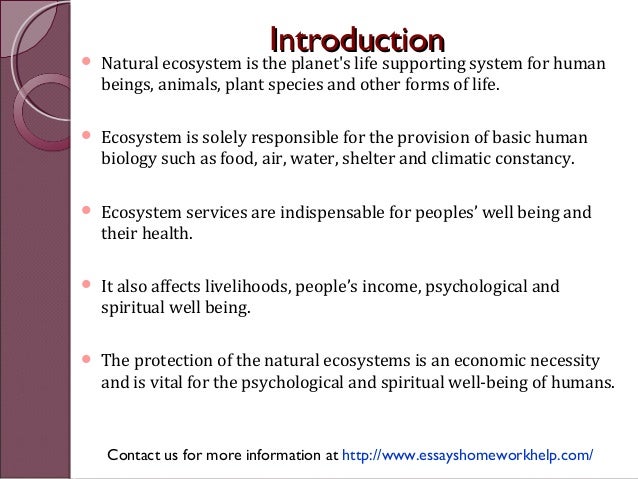 Essay about environment protection