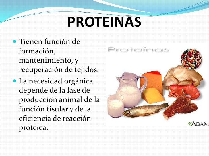 Trattamento di capelli e pelle principale Tjumen