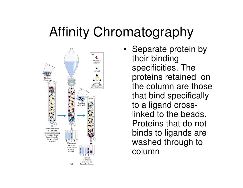 cross linked polymer