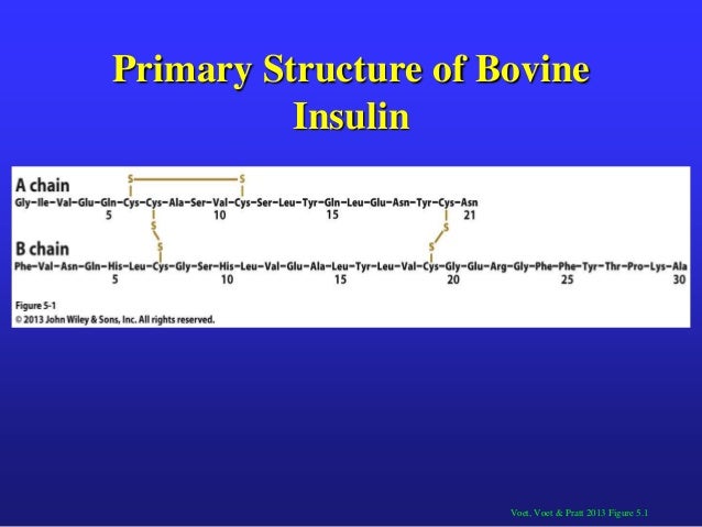 Insulin Chemical Properties Insulin Chemical Properties