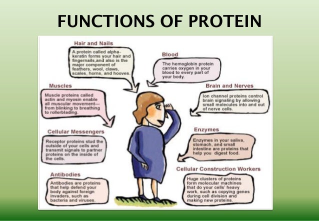 lipids food