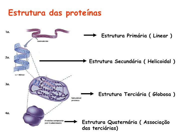 Resultado de imagem para desnaturação