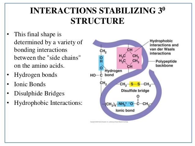 atomic structure activity