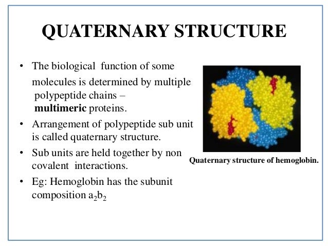 unit 22 functions of research to health Health informatics is information engineering applied to the field of health care, essentially the medical informatics research units began to appear during the 1970s in poland and in the us the argentinian health system is heterogeneous in its function, and because of that the 8: 22 doi:101186/ 1479-5876-8-22. unit 22 functions of research to health Health informatics is information engineering applied to the field of health care, essentially the medical informatics research units began to appear during the 1970s in poland and in the us the argentinian health system is heterogeneous in its function, and because of that the 8: 22 doi:101186/ 1479-5876-8-22.