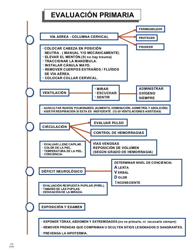 Protocolo de hipoglucemia en urgencias Protocolo de hipoglucemia en urgencias