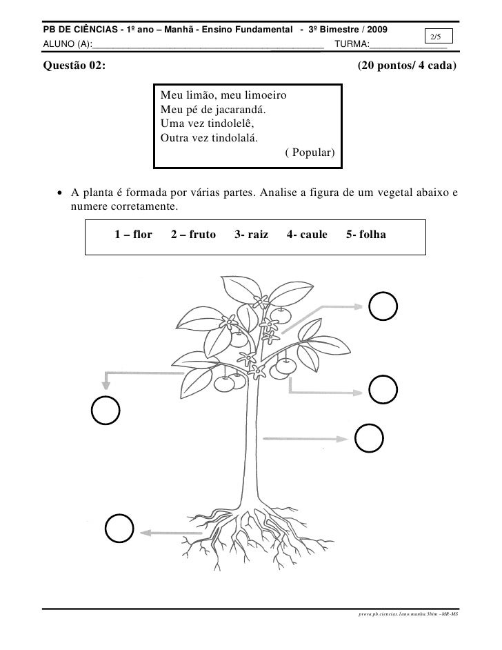 atividades horta pomar jardim educacao infantil:Prova.pb.ciencias.1ano.manha.3bim
atividades horta pomar jardim educacao infantil:Prova.pb.ciencias.1ano.manha.3bim