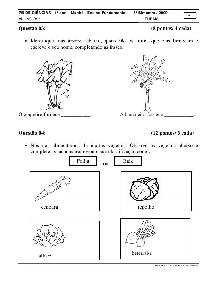 atividades alfabetizacao jardim horta pomar:Prova.pb.ciencias.1ano.manha.3bim atividades alfabetizacao jardim horta pomar:Prova.pb.ciencias.1ano.manha.3bim