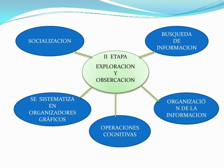 BUSQUEDA  DE INFORMACION<br />SOCIALIZACION<br />II  ETAPA<br />EXPLORACION <br />Y OBSERCACION<br />ORGANIZACIÓN DE LA IN...