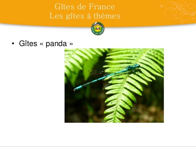 comment devenir gite panda