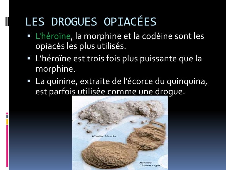 Présentation Sur Le ThèMe De La Drogue Présentation Sur Le ThèMe De La Drogue