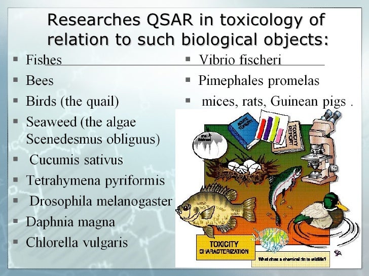 What are xenobiotics? What are some examples?