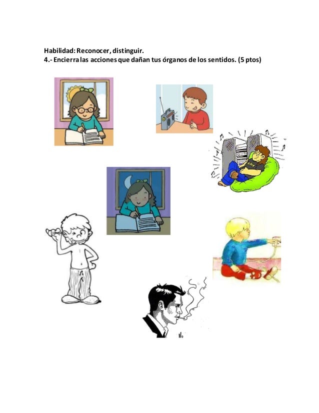Prueba ciencias naturales órganos de los sentidos