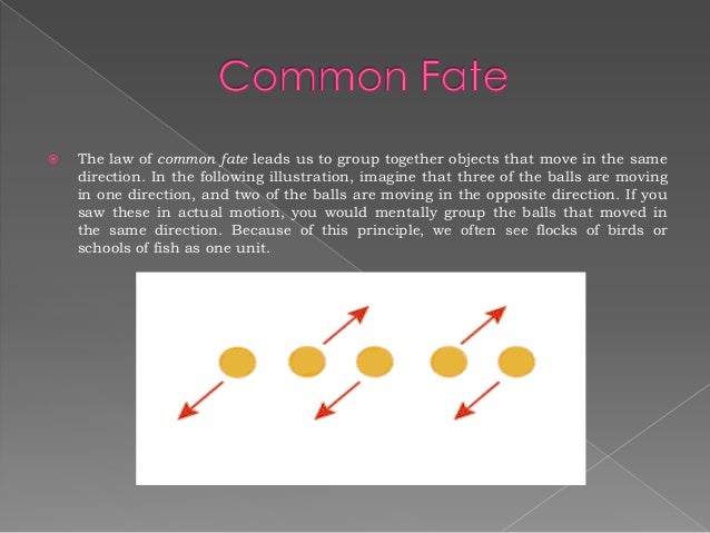 Common Fate Psy...