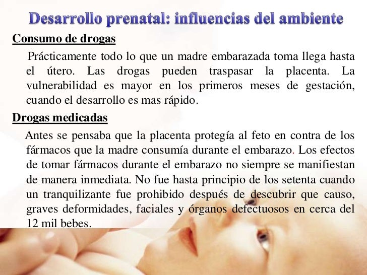 El tratamiento del alcoholismo asino
