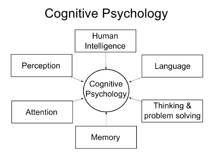 creative intelligence mental models essay creative intelligence mental models essay