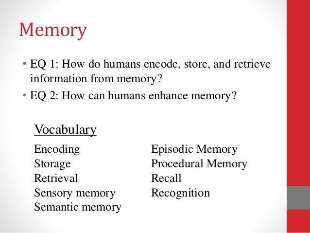 Memory Encoding...