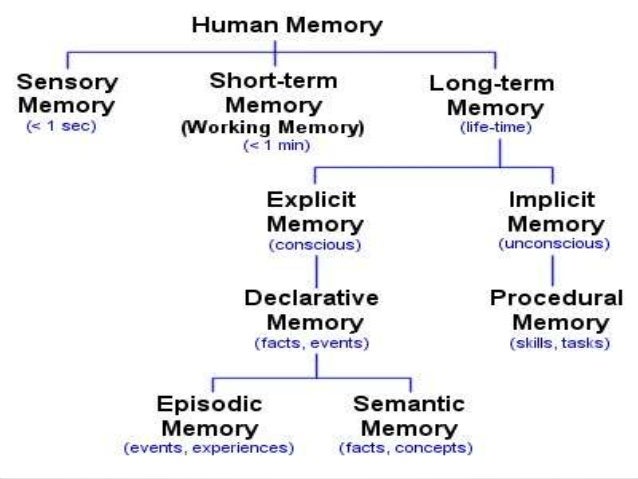 memory psychology