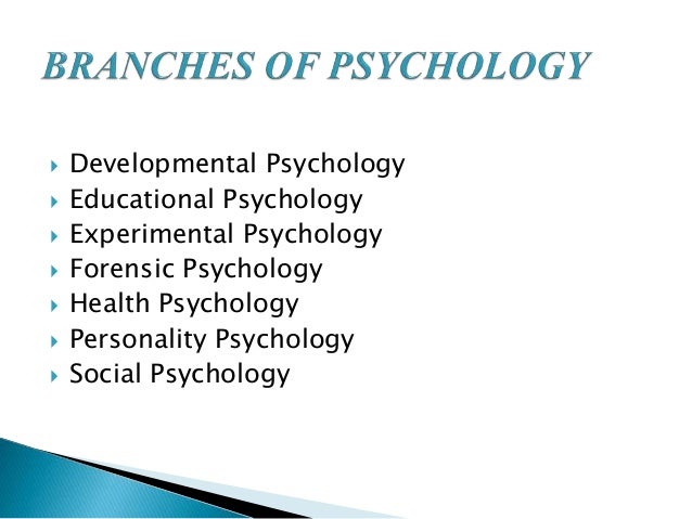scope of experimental psychology Social psychology is the study of how people's thoughts, feelings, and behaviors are influenced by the actual journal of experimental social psychology. scope of experimental psychology Social psychology is the study of how people's thoughts, feelings, and behaviors are influenced by the actual journal of experimental social psychology.