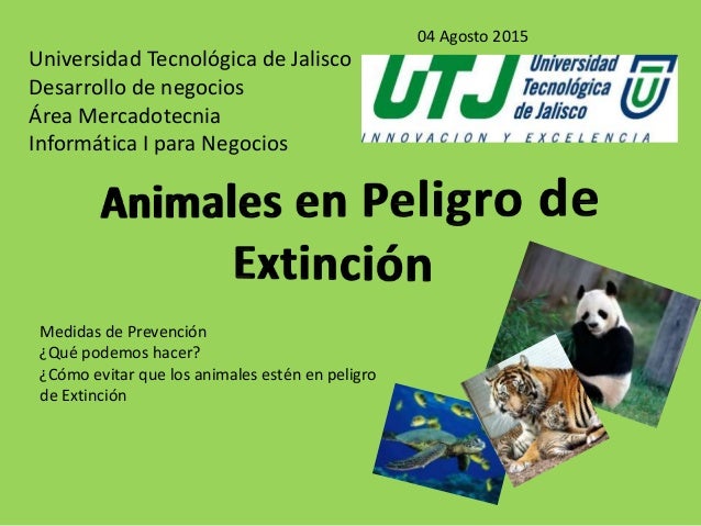UNIVERSIDAD TECNOLOGICA DE JALISCO universidad tecnologica de jalisco: