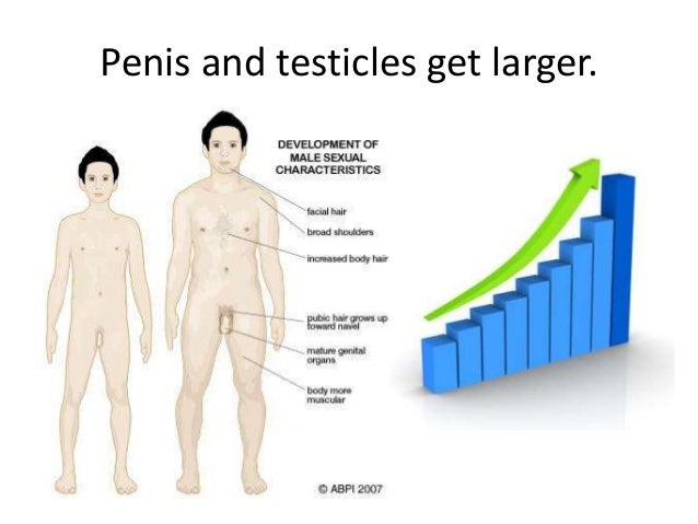 A small brown spot on the penis