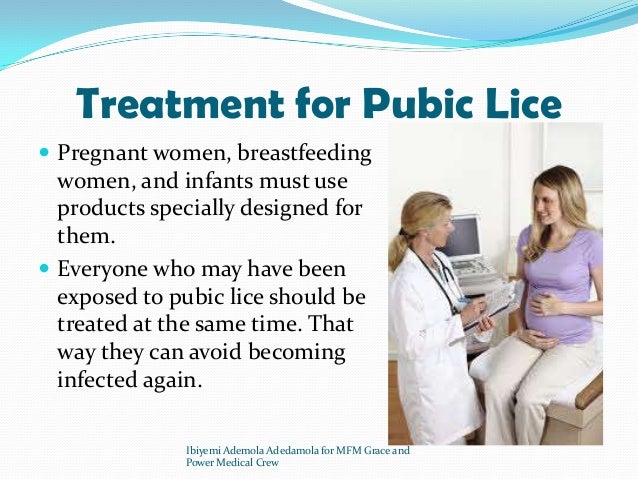 Pubic Lice Infestation - Healthline