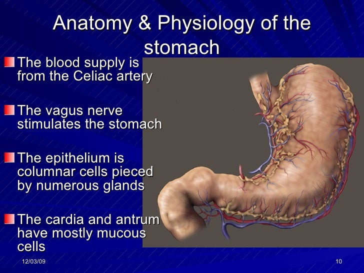 Pud Gastritis Lecture[1]