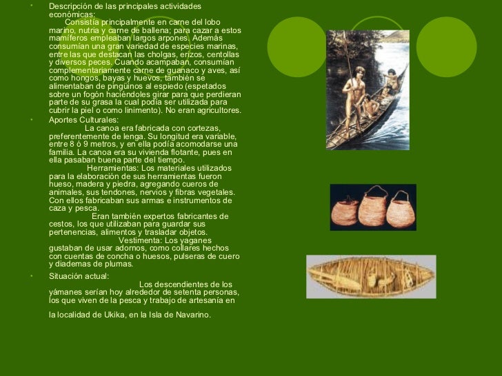 El ungüento para el tratamiento del hongo de las planta