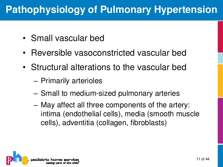 Viagra Pulmonary Htn