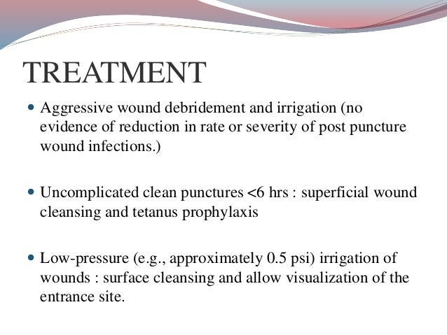 bite puncture wound puncture wounds and bites bite puncture wound puncture wounds and bites