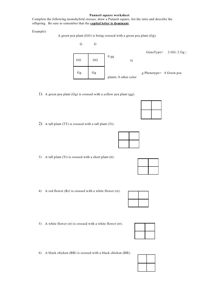 Non Mendelian Genetics Practice Packet Answers Key