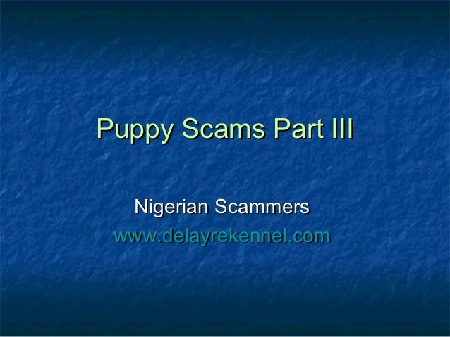 puppy scams puppy scams part iii puppy scams puppy scams part iii