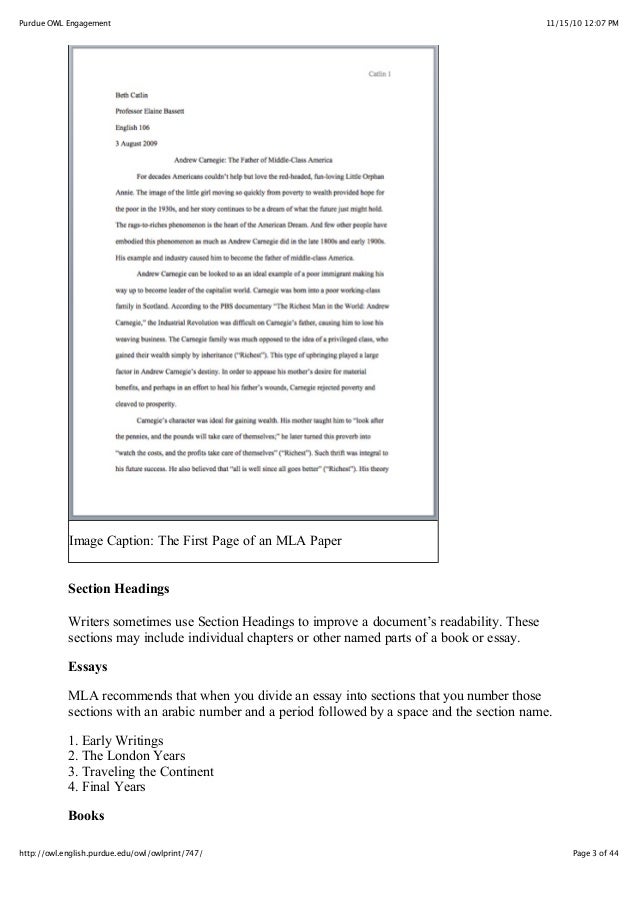 essay english book environment
