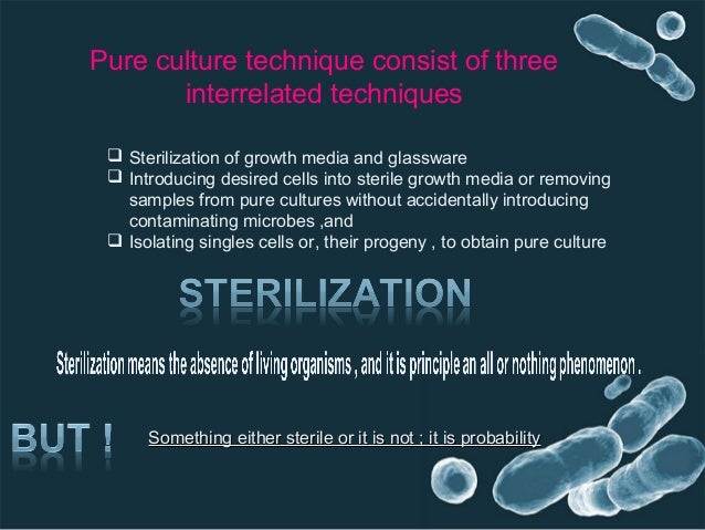 pure culture technic pure culture