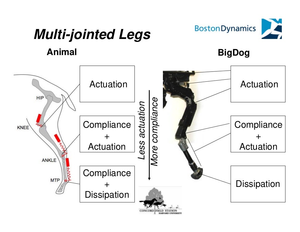 Boston Dynamics des pros dans le domaine de la robotique mais que va devenir Boston Dynamics ? Bigdog-the-most-advanced-roughterrain-robot-on-earth-6-1024