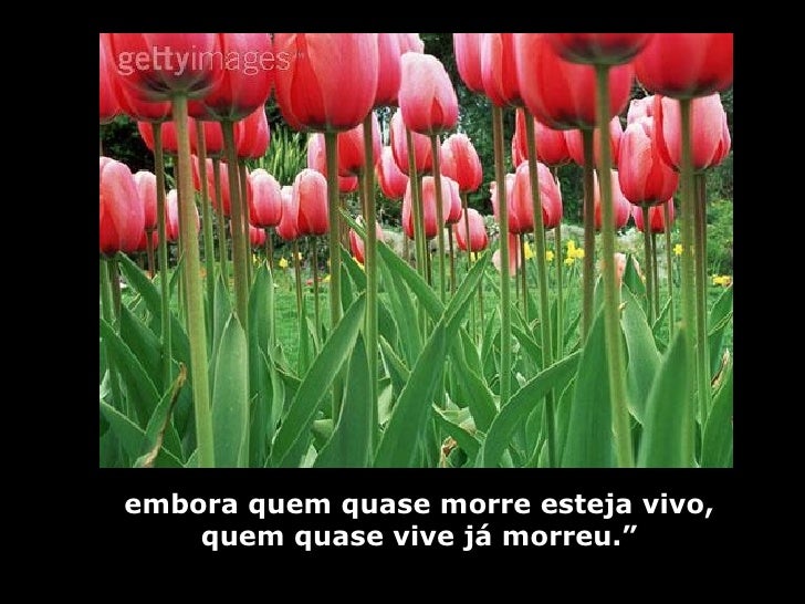 quase-15-728.jpg?cb=1191492584