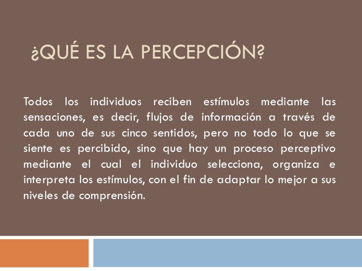 Que Es La Percepcion