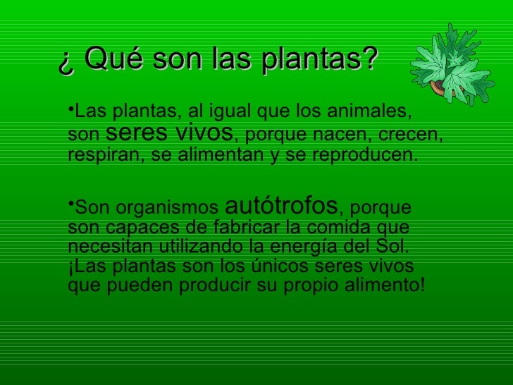 La codificación de la dependencia alcohólica por el láser