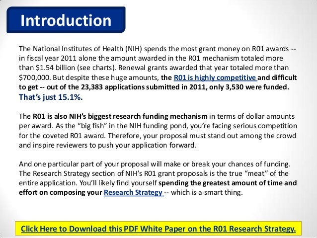 Renewal strategies essay picture