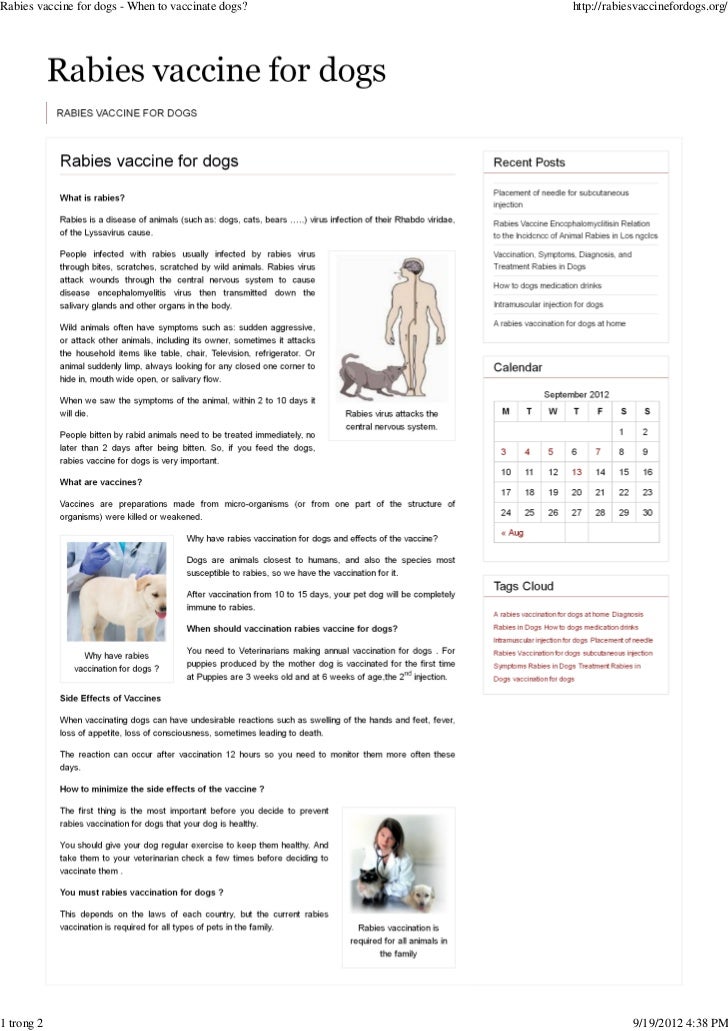 rabies for puppies rabies vaccine for dogs when to vaccinate dogs rabies for puppies rabies vaccine for dogs when to vaccinate dogs
