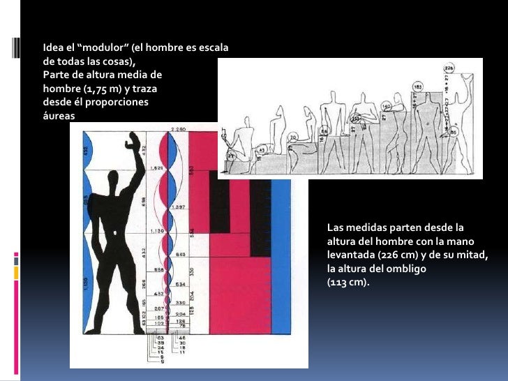 Idea el “modulor” (el hombre es escalade todas las cosas),Parte de altura media dehombre (1,75 m) y trazadesde él proporci...