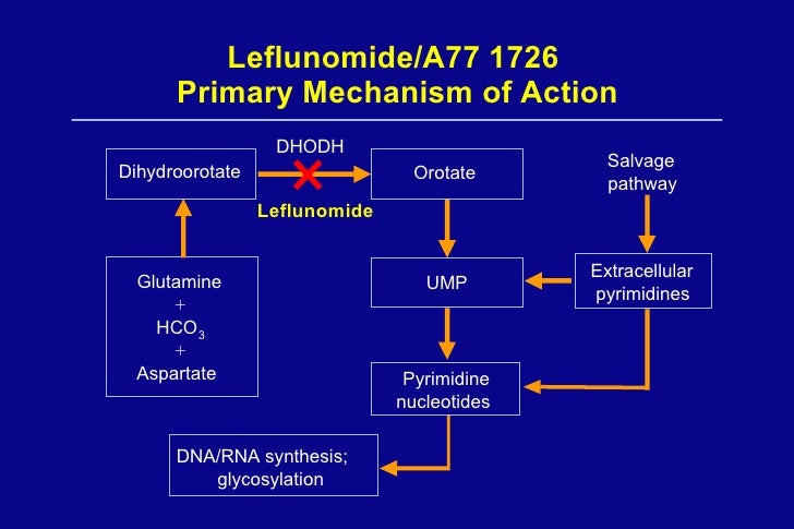 what does leflunomide do for rheumatoid arthritis