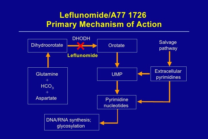 Leflunomide For Rheumatoid Arthritis