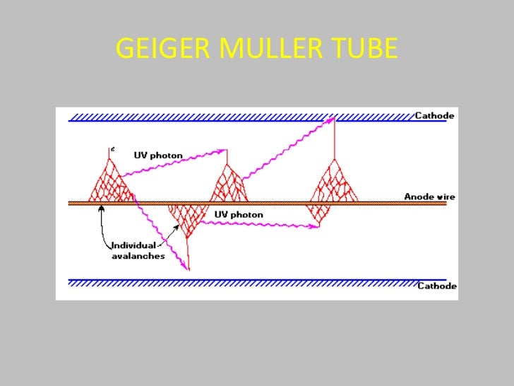 Nuclear radiation detectors ppt
