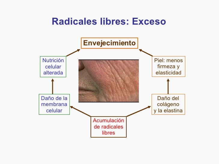 Radicales Libres