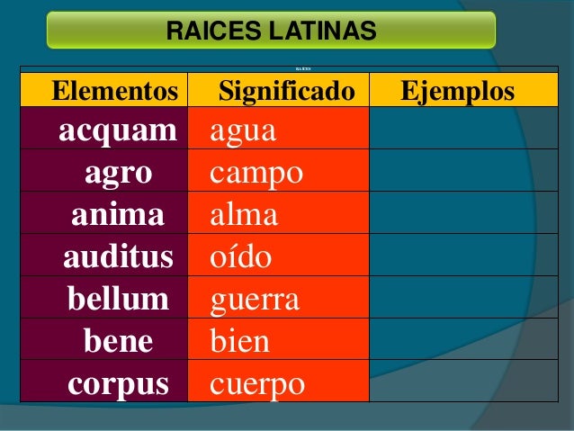 Raices Latin 21