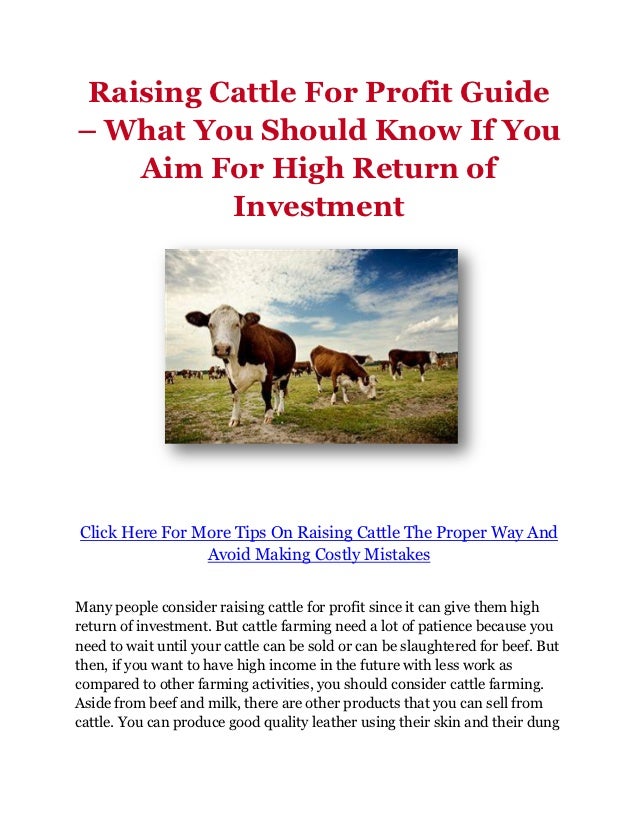 Raising Cattle For Profit Guide What You Should Know If You Aim For…