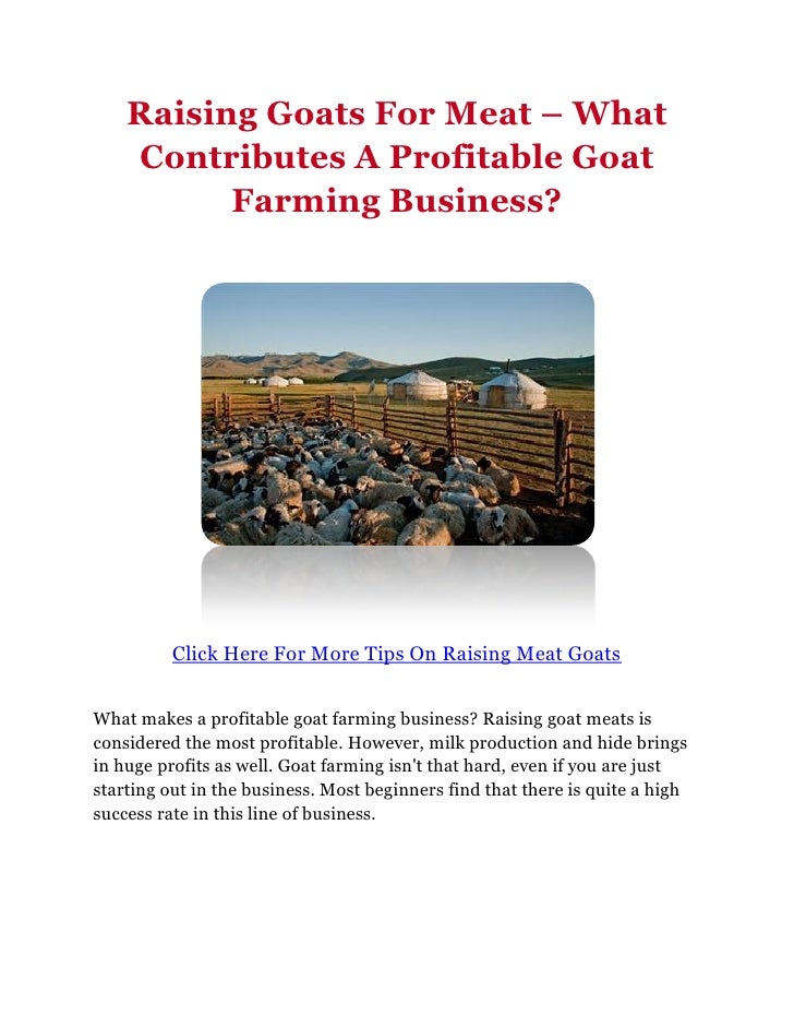 business plan for rearing goats business plan for rearing goats