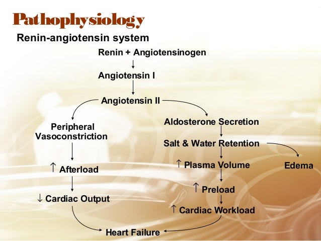 Pathophysiology of congestive heart failure