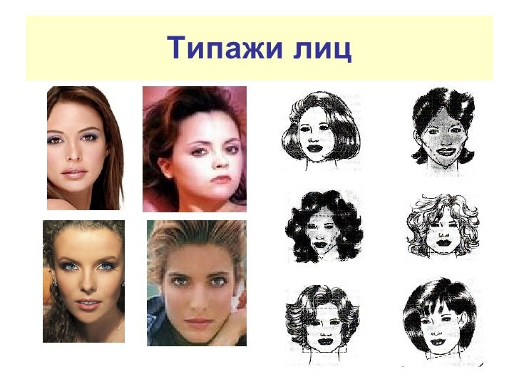 Максим Руссо: Новости мира растений - ПОЛИТ. РУ Купить Шеллак Блюскай Гель лак BlueSky в Москве от 119